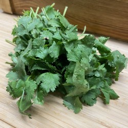 Herbs- Cilantro/Corriander (1 pack)