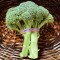 Broccoli  (1 piece)