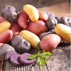 Mixed Potatoes