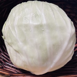 Green Cabbage (1lb) 