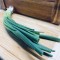 Green Onions (1pack)