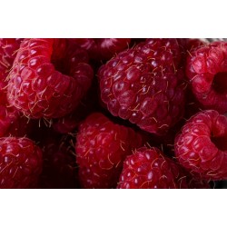 Raspberries (6oz) 