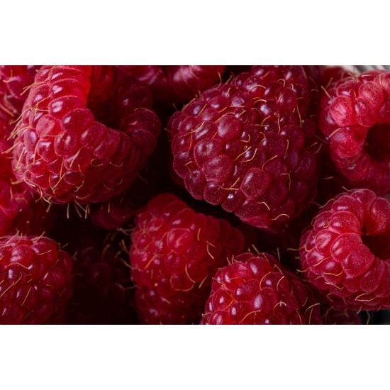 Raspberries (12oz) 