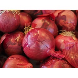 Red Sweet Onion